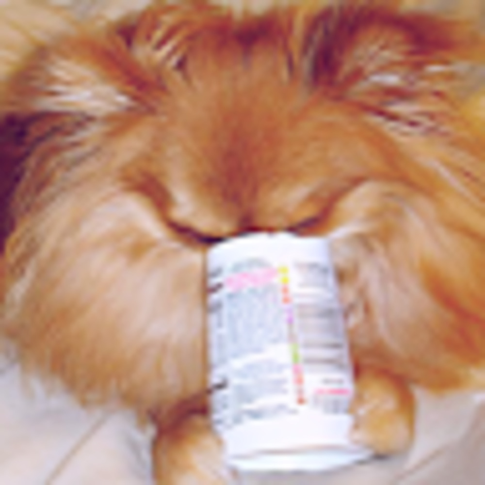 Meet your Posher, Wasita